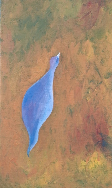 Peinture - Pigeon vol - Huile sur toile - 2026